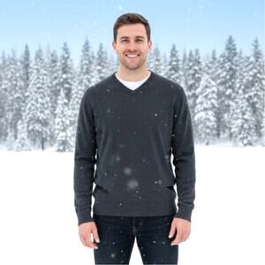 RoundTree & Yorke Cashmere Sweater V Neck Pullover Mens XXL Gray Minimalist